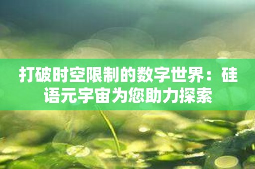 打破时空限制的数字世界：硅语元宇宙为您助力探索