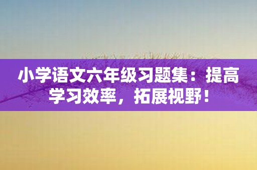 小学语文六年级习题集：提高学习效率，拓展视野！