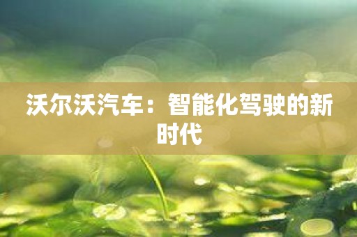 沃尔沃汽车：智能化驾驶的新时代