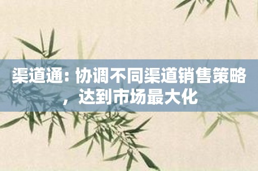 渠道通: 协调不同渠道销售策略，达到市场最大化