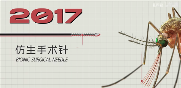 人类研究蚊子上百年 只为做一根无痛针头？