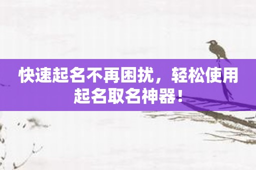 快速起名不再困扰，轻松使用起名取名神器！