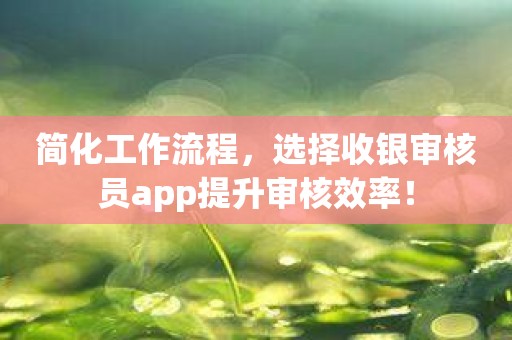 简化工作流程，选择收银审核员app提升审核效率！