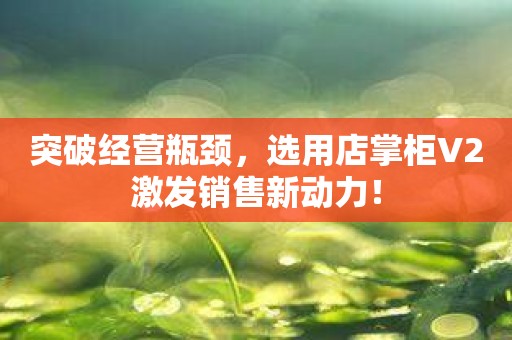 突破经营瓶颈，选用店掌柜V2激发销售新动力！