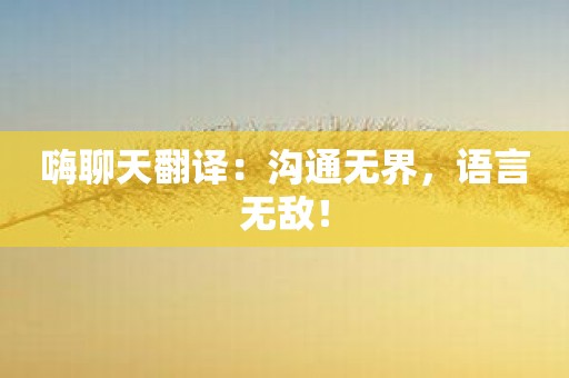 嗨聊天翻译：沟通无界，语言无敌！