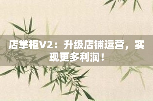 店掌柜V2：升级店铺运营，实现更多利润！