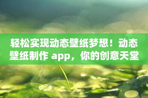 轻松实现动态壁纸梦想！动态壁纸制作 app，你的创意天堂