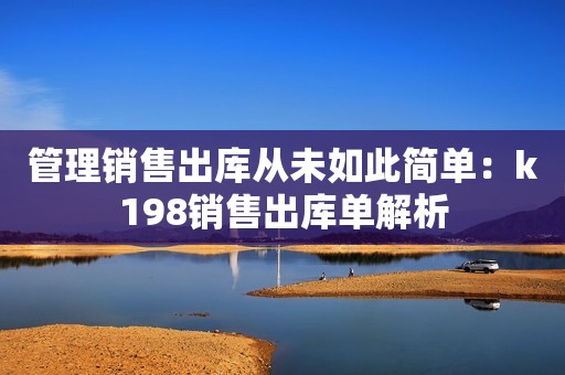 管理销售出库从未如此简单：k198销售出库单解析