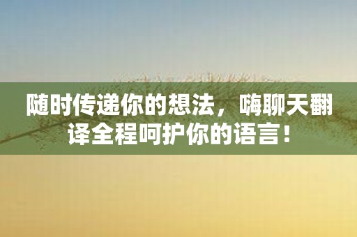 随时传递你的想法，嗨聊天翻译全程呵护你的语言！