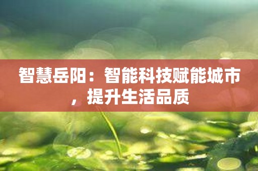 智慧岳阳：智能科技赋能城市，提升生活品质