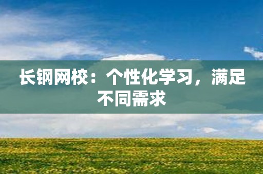 长钢网校：个性化学习，满足不同需求