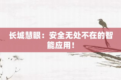 长城慧眼：安全无处不在的智能应用！