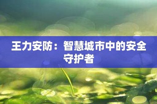 王力安防：智慧城市中的安全守护者