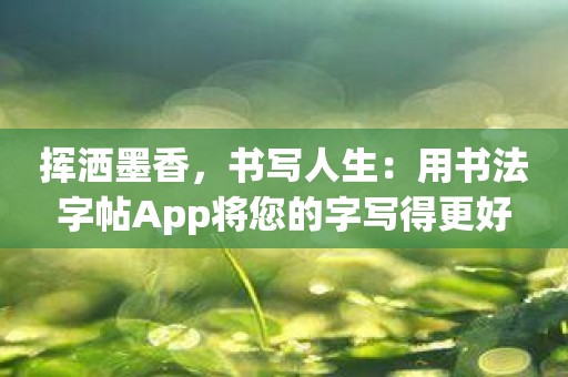 挥洒墨香，书写人生：用书法字帖App将您的字写得更好