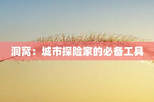 洞窝：城市探险家的必备工具