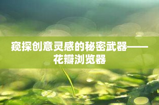 窥探创意灵感的秘密武器——花瓣浏览器
