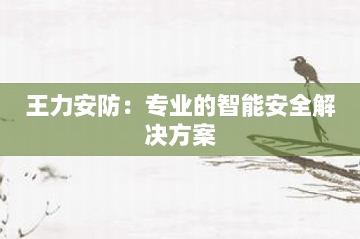 王力安防：专业的智能安全解决方案