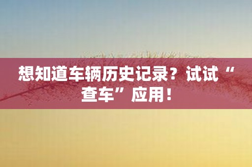 想知道车辆历史记录？试试“查车”应用！