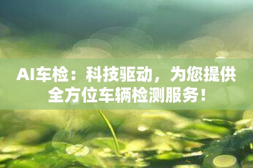 AI车检：科技驱动，为您提供全方位车辆检测服务！