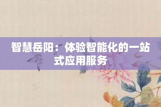 智慧岳阳：体验智能化的一站式应用服务