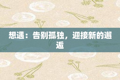 想遇：告别孤独，迎接新的邂逅