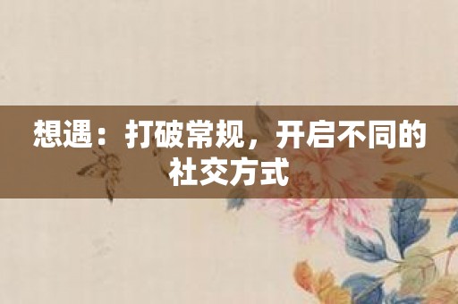 想遇：打破常规，开启不同的社交方式