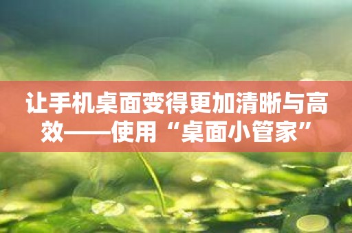 让手机桌面变得更加清晰与高效——使用“桌面小管家”