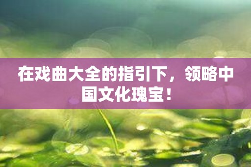 在戏曲大全的指引下，领略中国文化瑰宝！