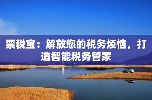票税宝：解放您的税务烦恼，打造智能税务管家