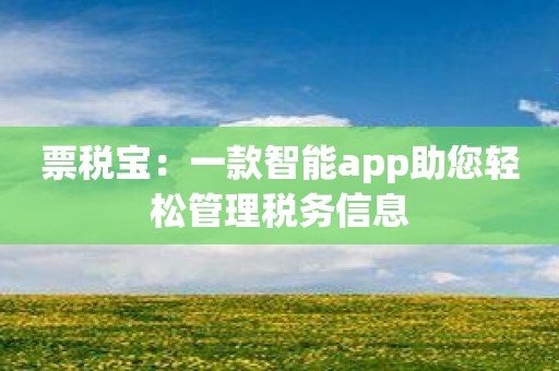 票税宝：一款智能app助您轻松管理税务信息