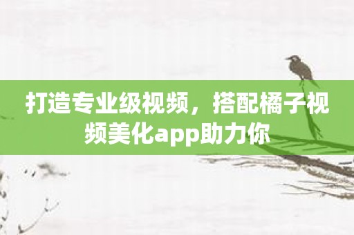 打造专业级视频，搭配橘子视频美化app助力你
