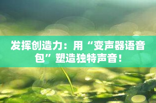 发挥创造力：用“变声器语音包”塑造独特声音！