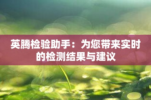 英腾检验助手：为您带来实时的检测结果与建议