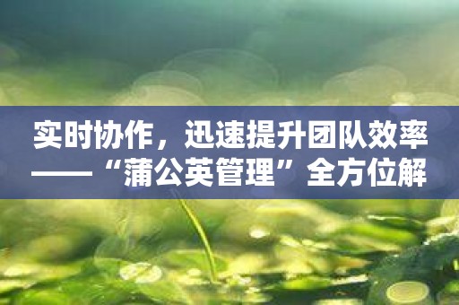 实时协作，迅速提升团队效率——“蒲公英管理”全方位解析