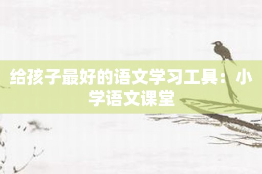 给孩子最好的语文学习工具：小学语文课堂