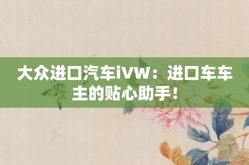 大众进口汽车iVW：进口车车主的贴心助手！