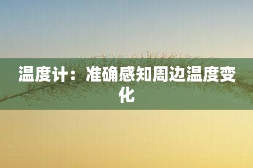 温度计：准确感知周边温度变化