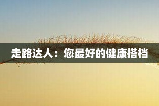 走路达人：您最好的健康搭档