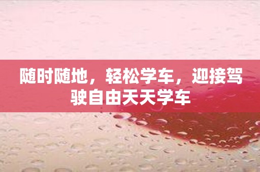 随时随地，轻松学车，迎接驾驶自由天天学车