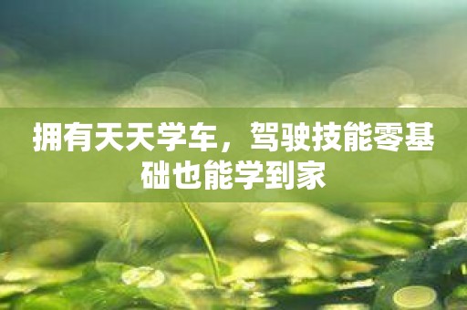 拥有天天学车，驾驶技能零基础也能学到家