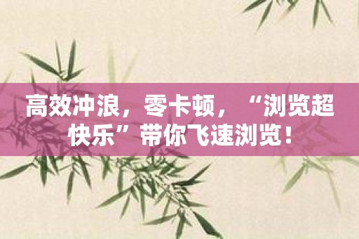 高效冲浪，零卡顿，“浏览超快乐”带你飞速浏览！