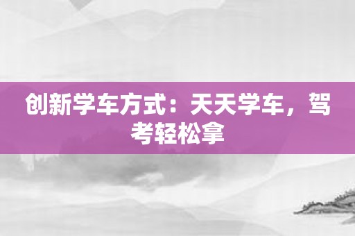 创新学车方式：天天学车，驾考轻松拿