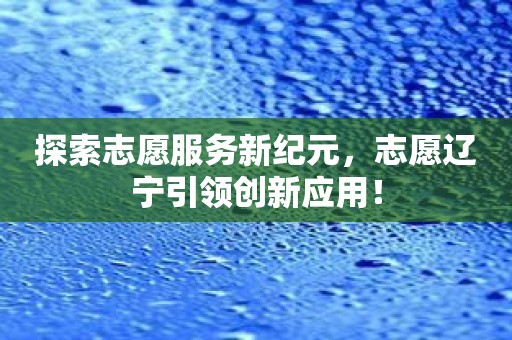 探索志愿服务新纪元，志愿辽宁引领创新应用！