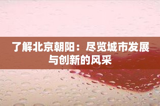 了解北京朝阳：尽览城市发展与创新的风采