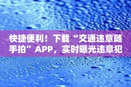 快捷便利！下载“交通违章随手拍”APP，实时曝光违章犯罪！