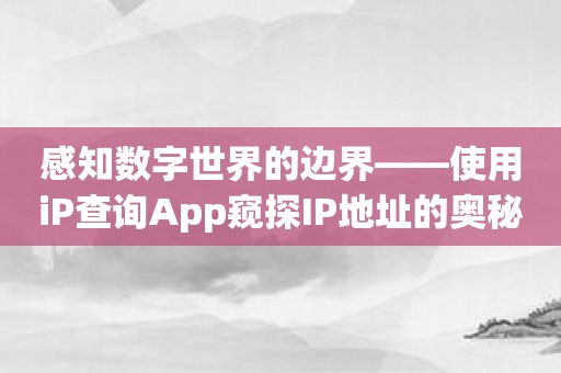 感知数字世界的边界——使用iP查询App窥探IP地址的奥秘