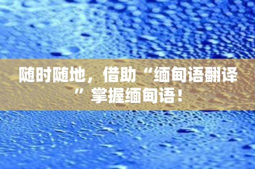 随时随地，借助“缅甸语翻译”掌握缅甸语！
