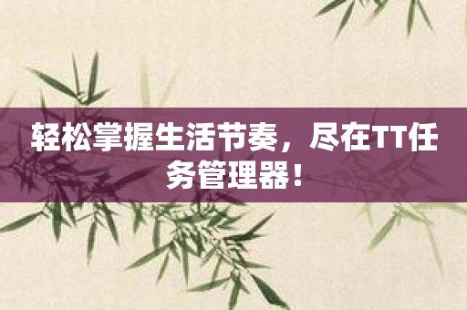轻松掌握生活节奏，尽在TT任务管理器！