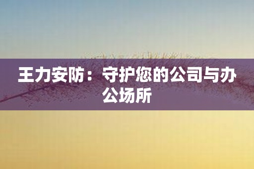 王力安防：守护您的公司与办公场所