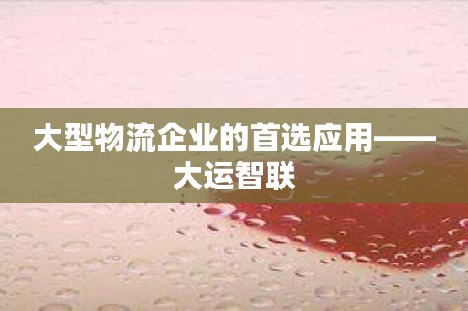 大型物流企业的首选应用——大运智联